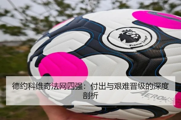 德约科维奇法网四强:付出与艰难晋级的深度剖析